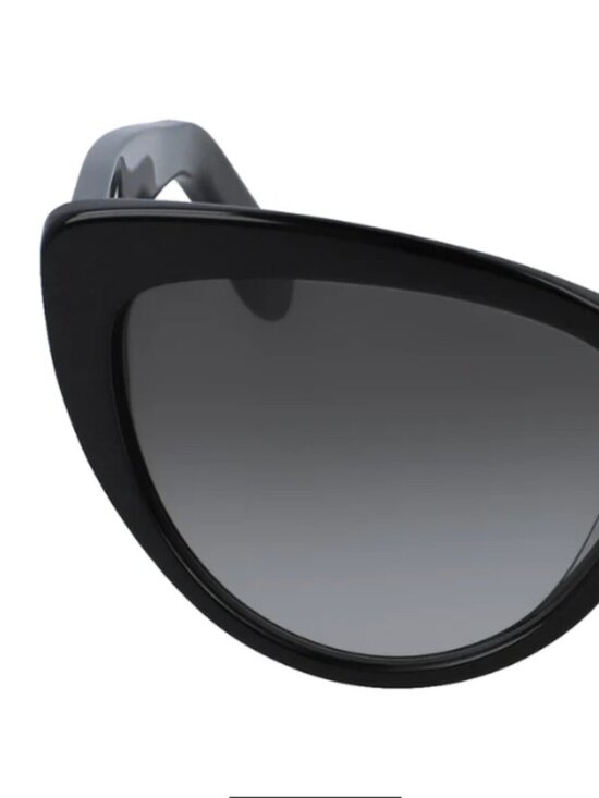Salvatore Ferragamo Oversized Cat Eye main image 5